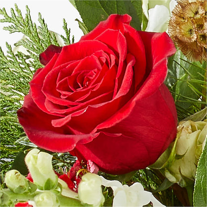 Deck the Halls Bouquet –  Fleuriste Boucherville, Boucherville PQ