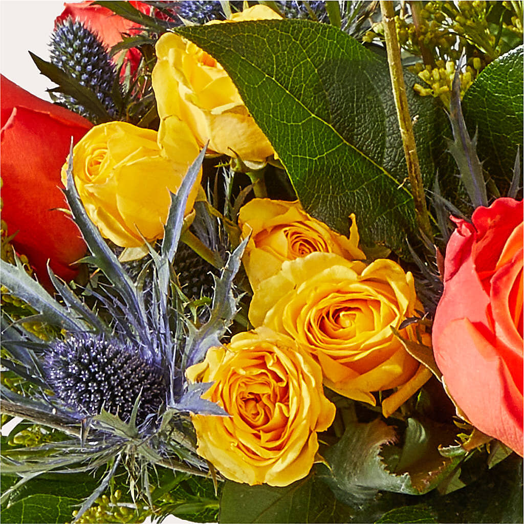 Disco Bouquet –  Fleuriste Boucherville, Boucherville PQ