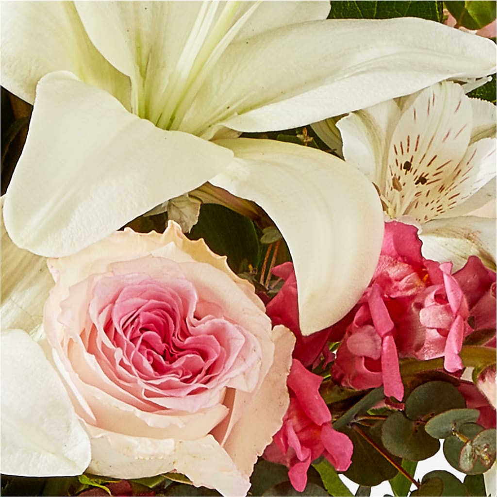Ballet Slippers Bouquet –  Fleuriste Boucherville, Boucherville PQ