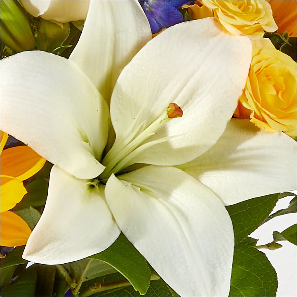 Wonderfully Sunny Bouquet –  Fleuriste Boucherville, Boucherville PQ