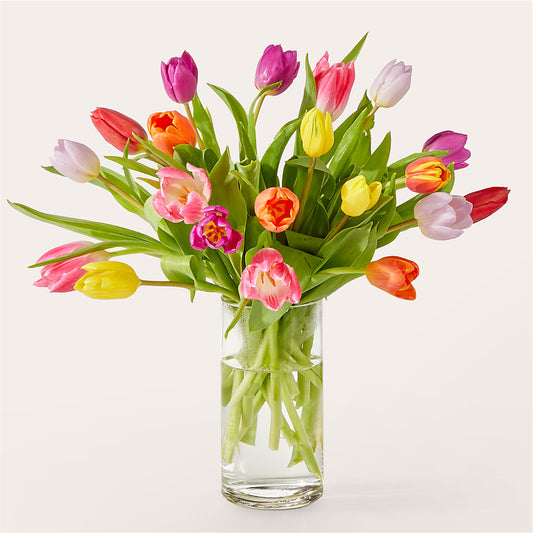 Parlons bouquet de tulipes