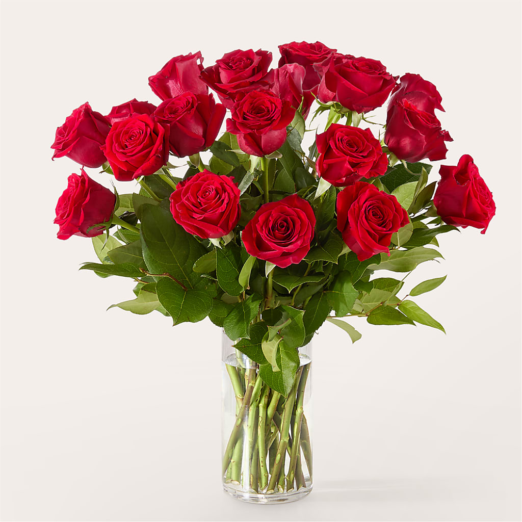 The One Red Rose Bouquet –  Fleuriste Boucherville, Boucherville PQ