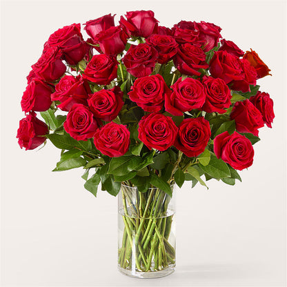 The One Red Rose Bouquet –  Fleuriste Boucherville, Boucherville PQ