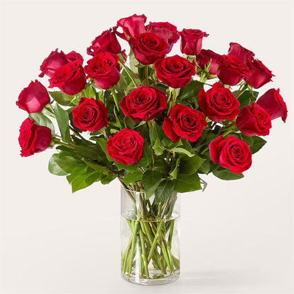 The One Red Rose Bouquet –  Fleuriste Boucherville, Boucherville PQ