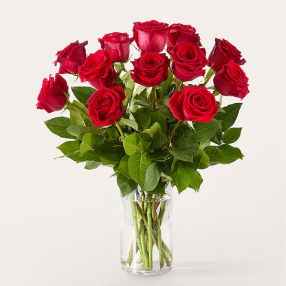 The One Red Rose Bouquet –  Fleuriste Boucherville, Boucherville PQ