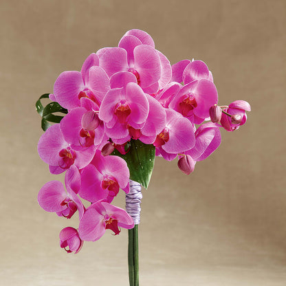 Glorious Bouquet –  Fleuriste Boucherville, Boucherville PQ