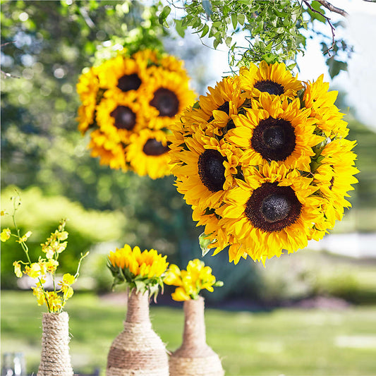 Sublime composition suspendue pour jardin