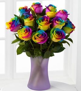 Twelve Rainbow roses