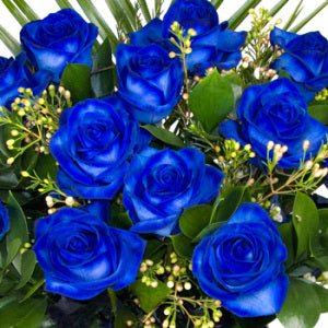 Douze roses bleues